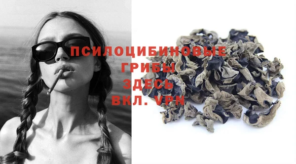 тгк Майский