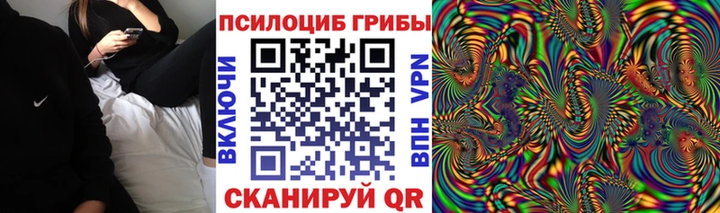 Галлюциногенные грибы мицелий где продают наркотики Абдулино